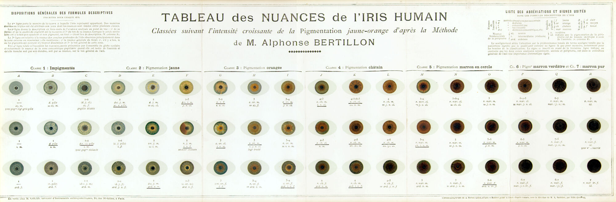 « Tableau des nuances de l’iris humain classées selon l’intensité croissante de la pigmentation jaune-orange d’après la méthode de M. Alphonse Bertillon », fin XIXe siècle.
Service régional de police technique et scientifique de Paris

