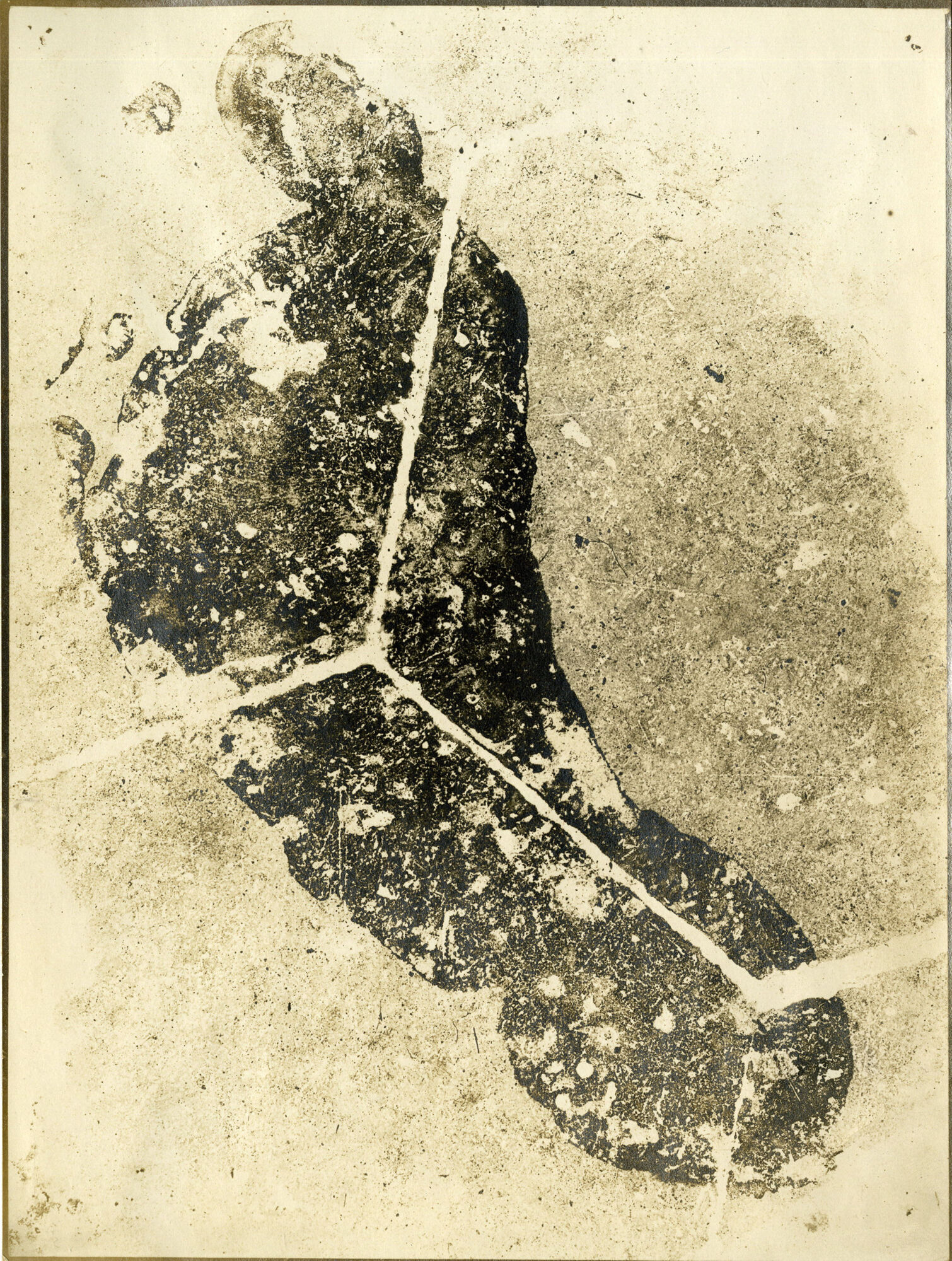 Photographie réalisée par le service parisien de l’Identité judiciaire afin de révéler des traces sur différents supports et de les comparer a des empreintes, fin XIXe – début XXe siècle.
Archives de la Préfecture de police de Paris, 230W
