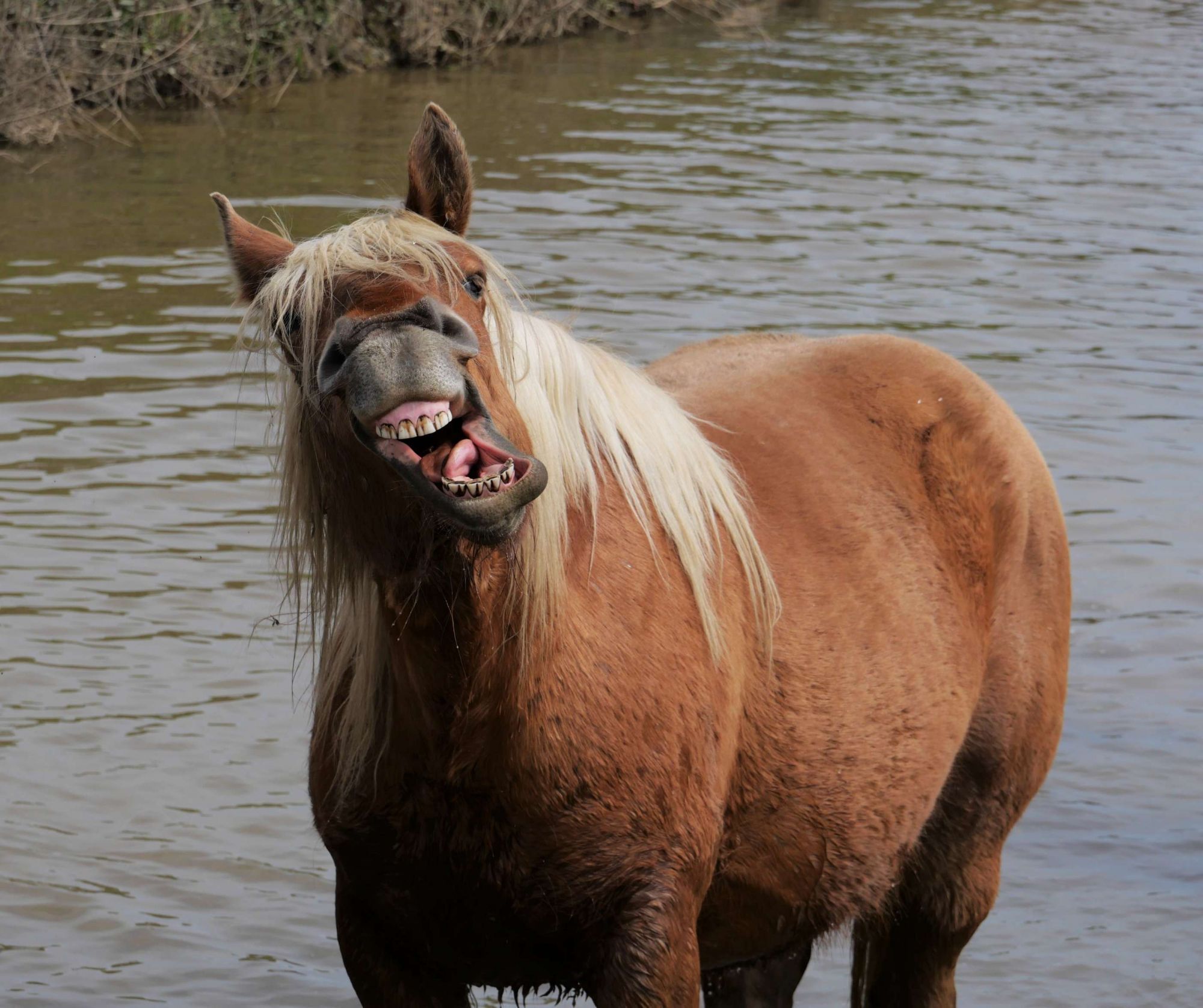 Concours photos amateur "Regards sur l'Adour"